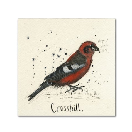 Michelle Campbell 'Crossbill' Canvas Art,14x14